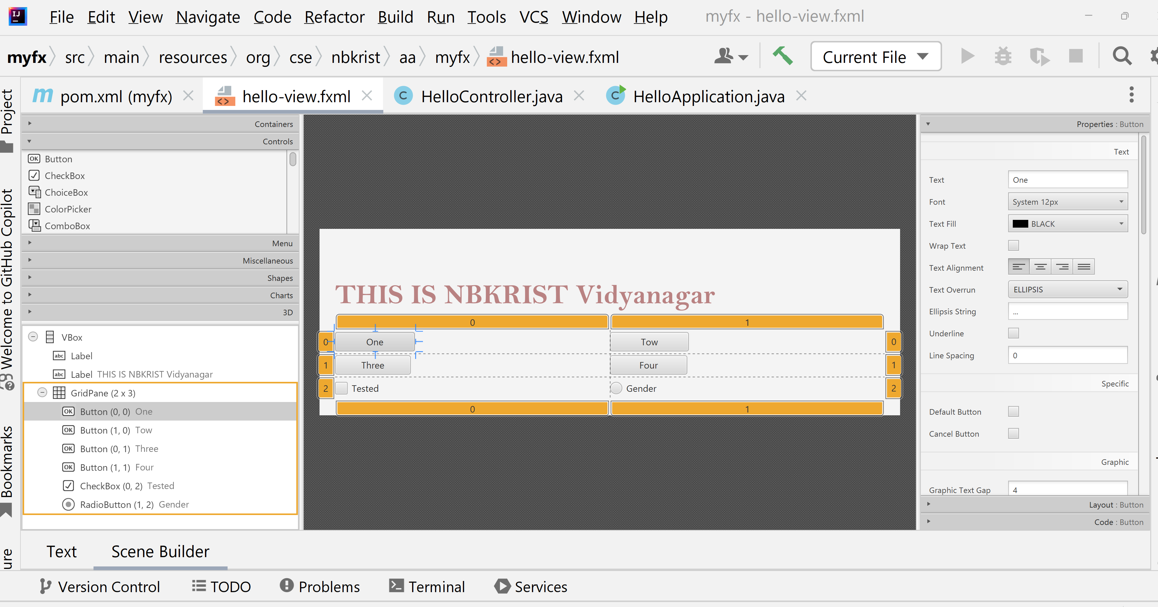 SceneBuilder Interface